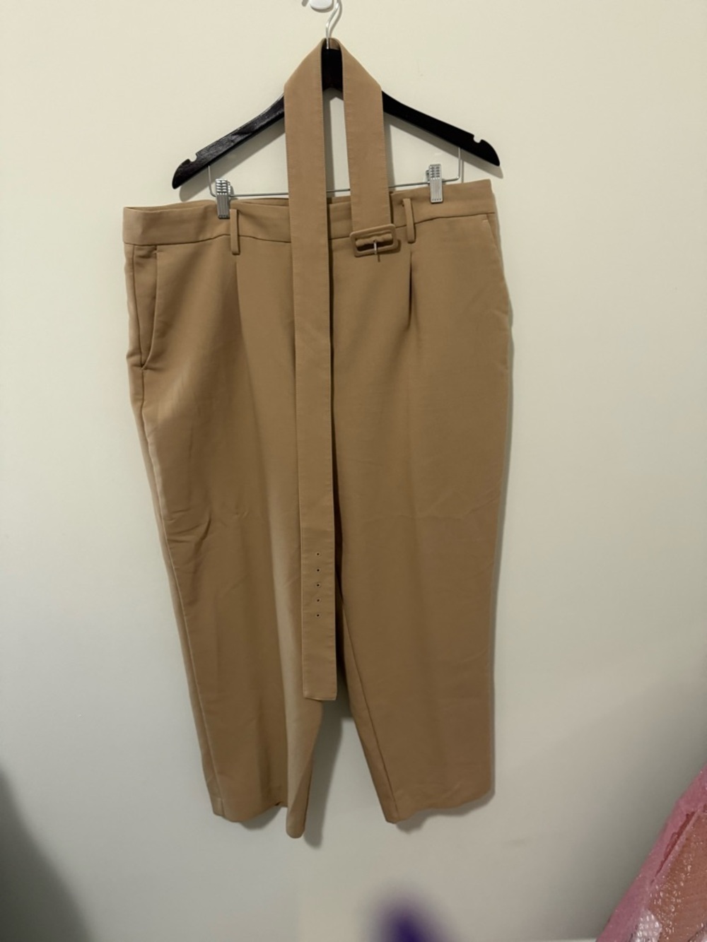 Ann Taylor Camel Paperbag Waist Crop Pants with Self Belt